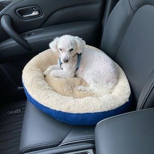 Meet your Posher, Daphne